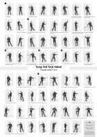 Poster Yang-Stil Taiji-Säbel – Traditionelle Form