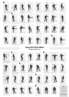 Poster Yang-Stil Taiji-Säbel – Traditionelle Form
