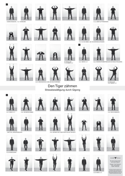Poster – Den Tiger zähmen – Stressbewältigung durch Qigong