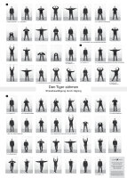 Den Tiger zähmen – Stressbewältigung durch Qigong - Buch + DVD + Poster